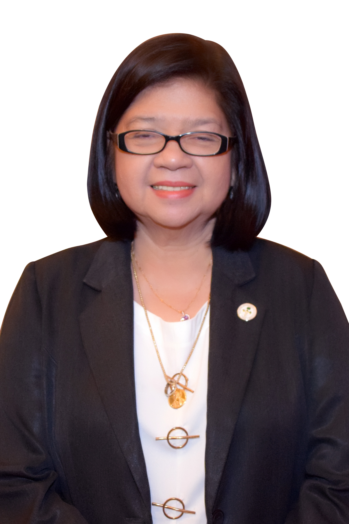 Ms. Maria Lourdes A. Vega, RND, MSN